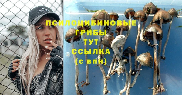 кокс Алексеевка
