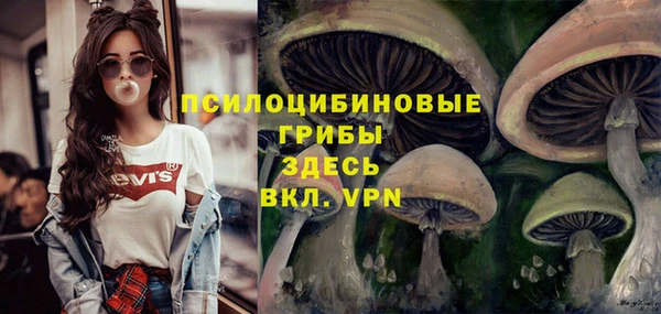 кокс Алексеевка