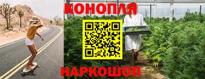spice Бердск