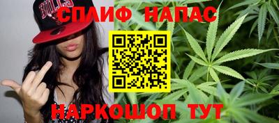 spice Бердск