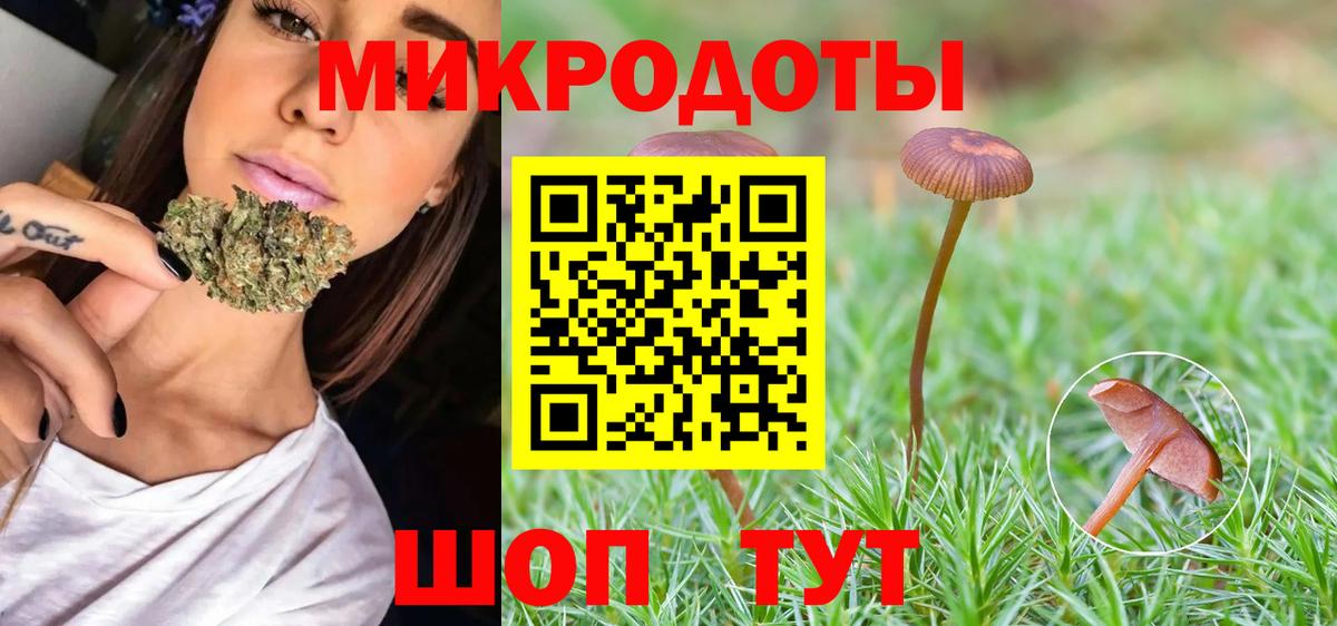 Галлюциногенные грибы Psilocybine cubensis Салават