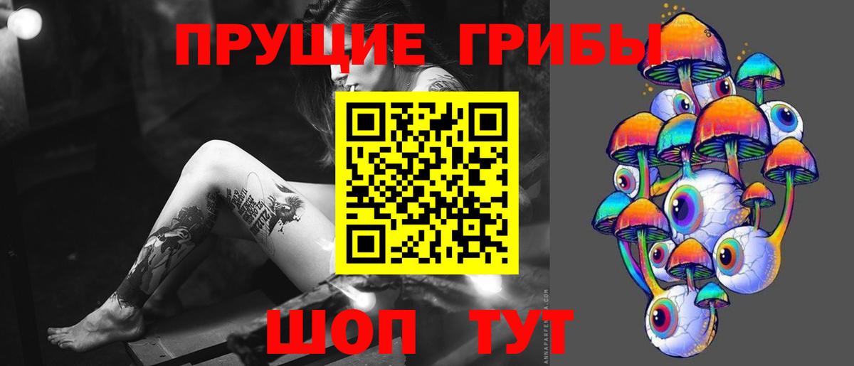 Салават  Галлюциногенные грибы Magic Shrooms  где купить наркотик  Вход с VPN 